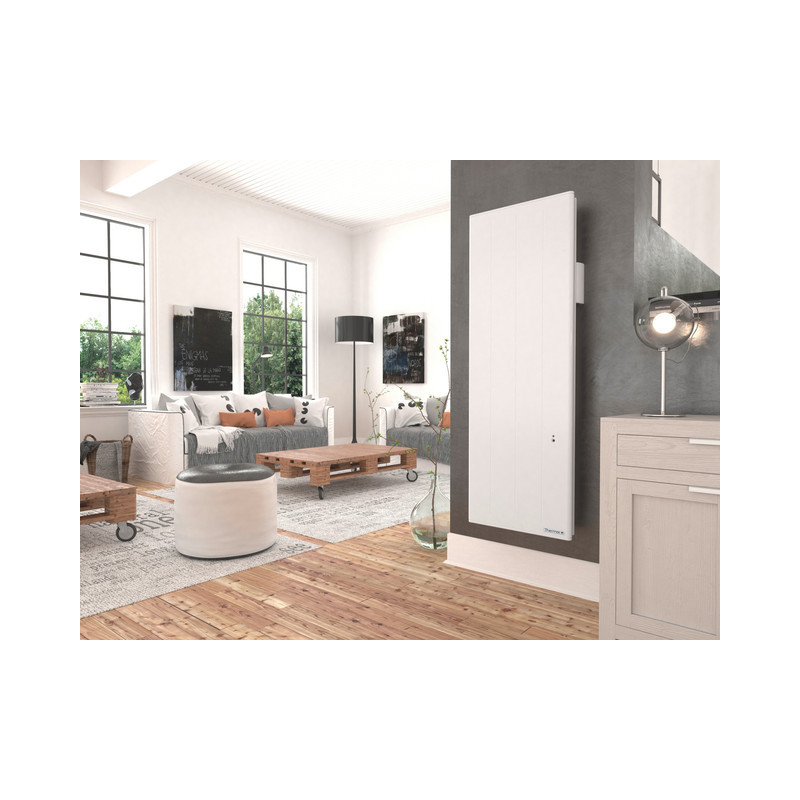 THERMOR - Radiateur Chaleur douce Ovation 3 vertical gris ardoise 1000W - 430304