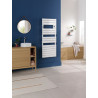 THERMOR - Sèche-serviettes Riviera 2 500W noir carbone - 497528