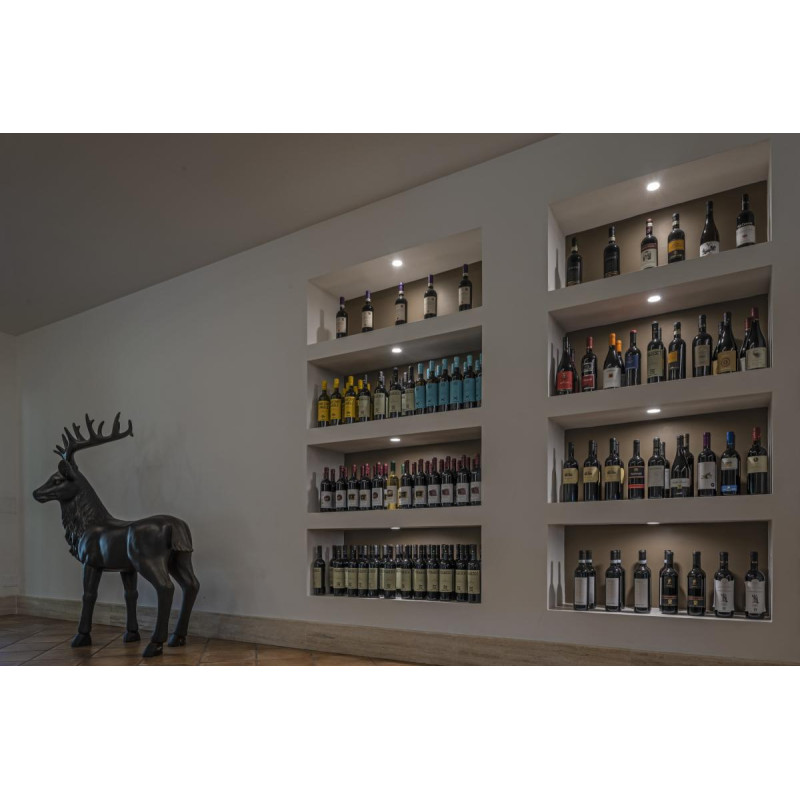 Encastré intérieur DL 126 blanc LED 28W 3000K - SLV - 112221
