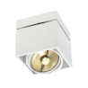 Plafonnier intérieur KARDAMOD simple carré blanc GU10/QPAR111 75W max - SLV - 117101
