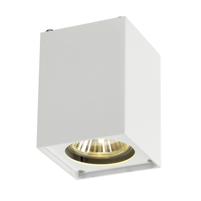 Plafonnier intérieur ALTRA DICE simple blanc GU10/QPAR51 35W max - SLV - 151511