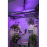Applique et plafonnier ENOLA B spot 1 noir GU10 max. 50W - SLV - 152010