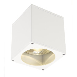 Plafonnier extérieur BIG THEO blanc GU10/QPAR111 75W max IP44 - SLV - 229551