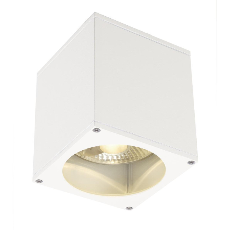 Plafonnier extérieur BIG THEO blanc GU10/QPAR111 75W max IP44 - SLV - 229551