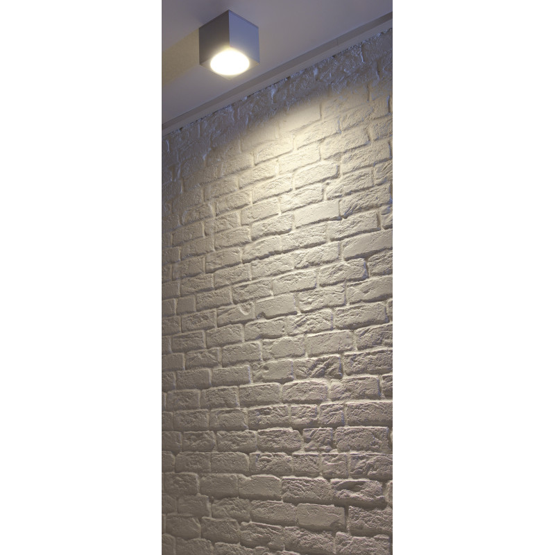 Plafonnier extérieur BIG THEO blanc GU10/QPAR111 75W max IP44 - SLV - 229551