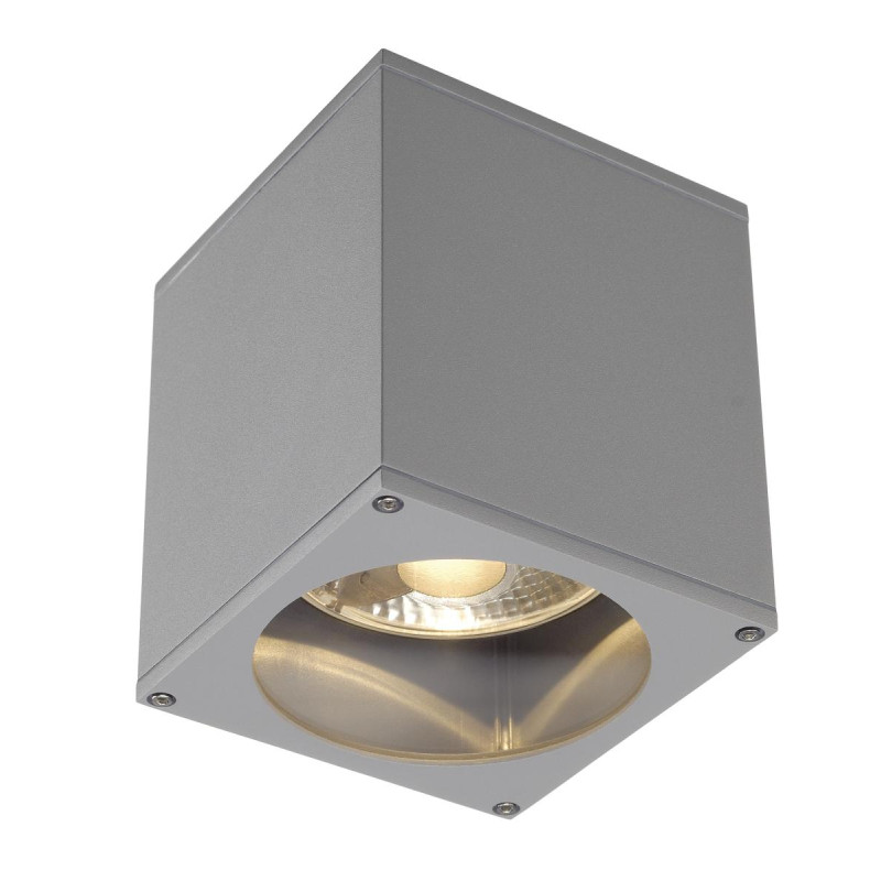 Plafonnier extérieur BIG THEO gris GU10/QPAR111 75W max IP44 - SLV - 229554