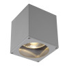 Plafonnier extérieur BIG THEO gris GU10/QPAR111 75W max IP44 - SLV - 229554