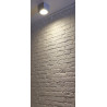 Plafonnier extérieur BIG THEO gris GU10/QPAR111 75W max IP44 - SLV - 229554