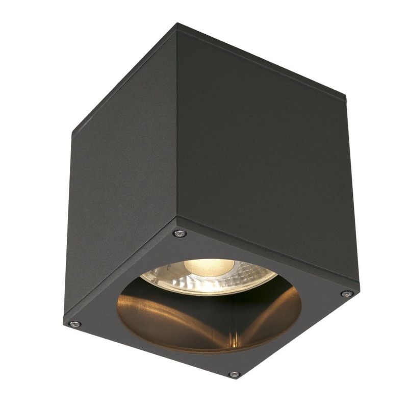 Plafonnier extérieur BIG THEO gris GU10/QPAR111 75W max IP44 - SLV - 229555