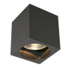 Plafonnier extérieur BIG THEO gris GU10/QPAR111 75W max IP44 - SLV - 229555