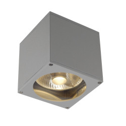 Applique extérieure BIG THEO gris GU10/QPAR111 75W max IP44 - SLV - 229564