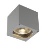 Applique extérieure BIG THEO gris GU10/QPAR111 75W max IP44 - SLV - 229564