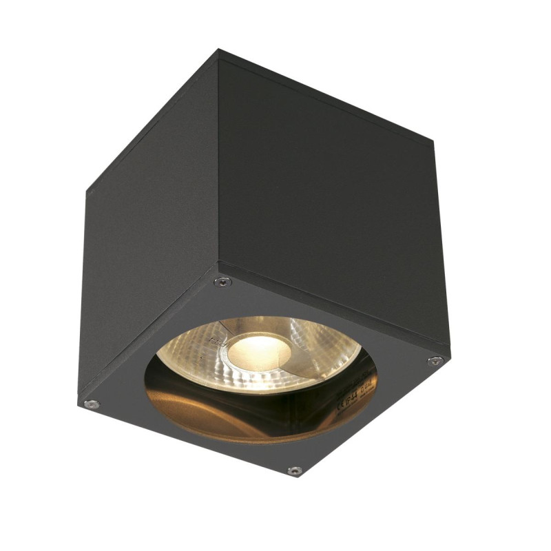 Applique extérieure BIG THEO gris GU10/QPAR111 75W max IP44 - SLV - 229565