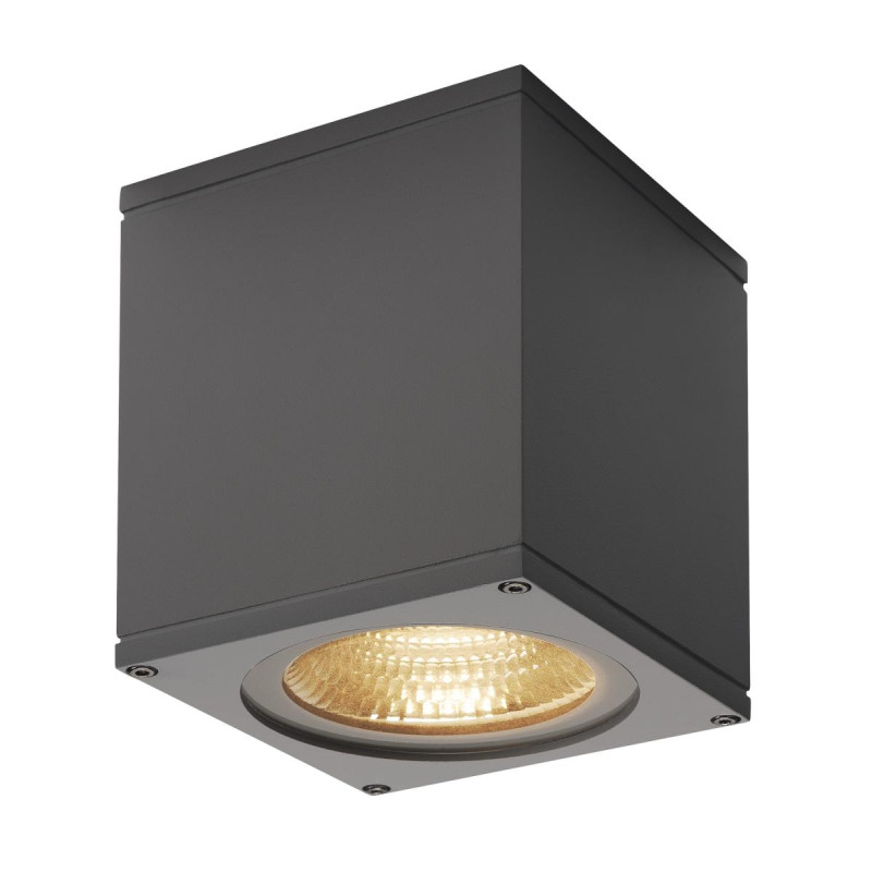 Plafonnier extérieur BIG THEO gris LED 21W 3000K IP44 - SLV - 234535