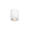Plafonnier intérieur TRILEDO simple rond blanc GU10/LED GU10 51mm 10W max - SLV - 1002011