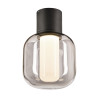 Plafonnier extérieur OVALISK gris LED 75W 3000/4000K interrupteur C - SLV - 1004677