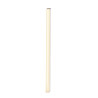 Applique et plafonnier intérieur BATTEN 60 blanc LED 9W 3000K - SLV - 1006123