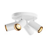 Plafonnier ASTO TUBE cylindrique GU10 4x max. 10W blanc - SLV - 1006430