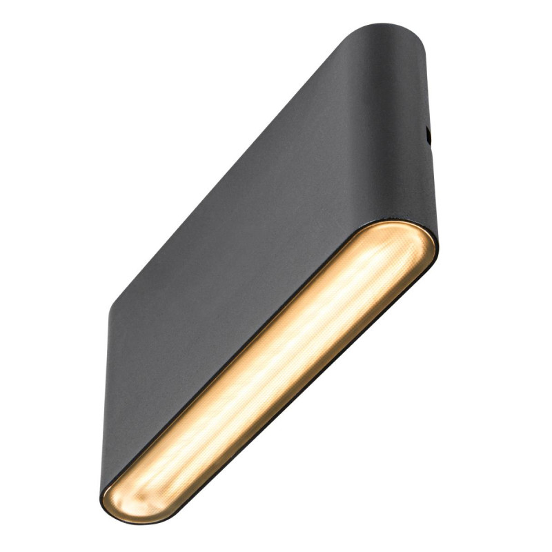 Applique murale OVAL 18WL 2700/3000&nbsp;K 10W noir - SLV - 1007144