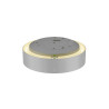 Applique et plafonnier MEDO® 30 intérieur rond gris LED 12W IP 50 IK02 - SLV - 1007318
