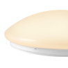 10/15/20W 830/840 IP44 SURFACE V 390 détecteur de mouvements - SLV - 1007517