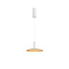 Suspension LED LALU® intérieur blanc LED 95W IP 20 IK03 - SLV - 1007519