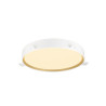 Plafonnier DECONA 42 rond 2700/3000 K 23W PHASE noir/or - SLV - 1008584