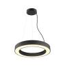 Suspension MEDO® RING 60 L300 cm 3000/4000 K 110° PHASE noir - SLV - 1008591