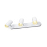 Applique et plafonnier NOBLO® triple rond 3000 K 19W PHASE 32° blanc - SLV - 1008711