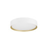 Plafonnier DECONA 30 intérieur PHASE rond 3000/4000K 17W blanc/or - SLV - 1008919
