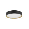 Plafonnier DECONA 30 intérieur PHASE rond 3000/4000K 17W noir/or - SLV - 1008920