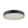 Plafonnier DECONA 42 intérieur PHASE rond 3000/4000K 23W noir/or - SLV - 1008924