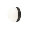 Plafonnier et applique en saillie CYFT DOME 27/3/4K 65 W PHASE noir/opale - SLV - 1008944