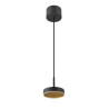 Suspension GRIP! FLAT intérieur PHASE 2700/3000 K noir / or - SLV - 1009014