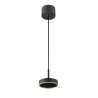Suspension GRIP! FLAT intérieur PHASE 2700/3000 K noir / or - SLV - 1009014