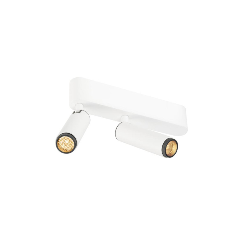 Plafonnier GRIP! S double intérieur PHASE 2700 K 21 W 29° blanc / noir - SLV - 1009044