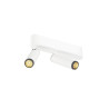 Plafonnier GRIP! S double intérieur PHASE 3000 K 21 W PHASE blanc / noir - SLV - 1009045