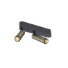 Plafonnier GRIP! S double intérieur PHASE 2700 K 21 W 29° bronze / noir - SLV - 1009048