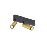 Plafonnier GRIP! S double intérieur PHASE 2700 K 21 W 29° doré / noir - SLV - 1009050