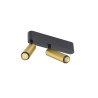 Plafonnier GRIP! S double intérieur PHASE 3000 K 21 W 29° doré / noir - SLV - 1009051