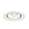 Spot encastré NUMINOS® GIMBLE M intérieur4000&nbsp;K 20° blanc - SLV - 1009587