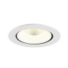 Encastré downlight NUMINOS® GIMBLE XL intérieur 4000&nbsp;K 20° blanc - SLV - 1009910