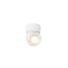 Plafonnier et applique KALU 2.0 intérieur simple blanc 10W 2700K PHASE - SLV - 1010260