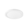 DOWNLIGHT VARIO 290 28 830/840 BLANC ML - SLV - 1010398