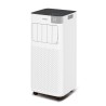 Climatiseur mobile froid seul - FIORE - ROINTE